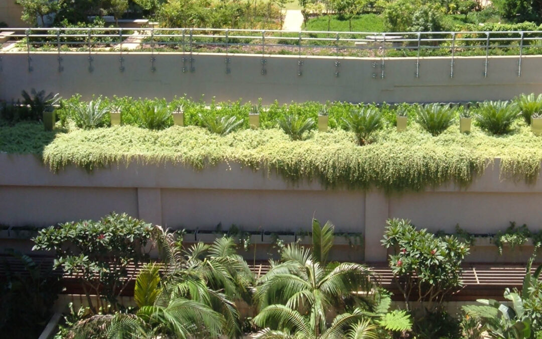 Burgess Landscapes