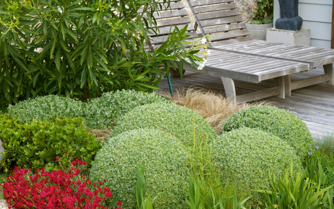 Heimo Schulzer Gardens